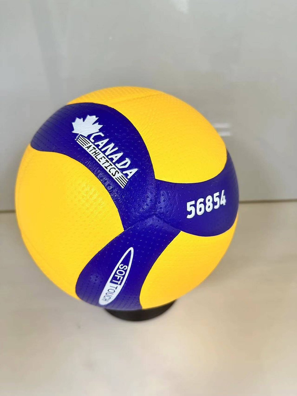 כדורעף מקצועי CANADA 5000 לחצר